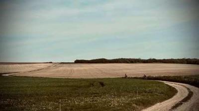 Cal lys5 260425